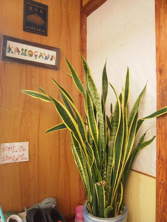 Tirol Hotel Yakushima  Room photo